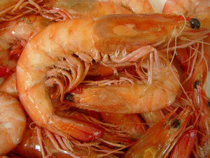 XL Cooked King Prawns - Whole