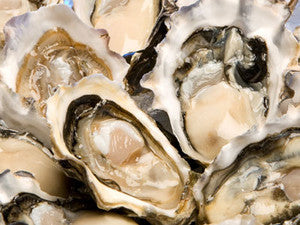 Oysters Half Shell dozen