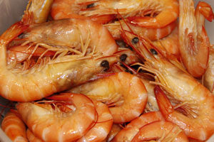 Cooked Endeavour Prawns